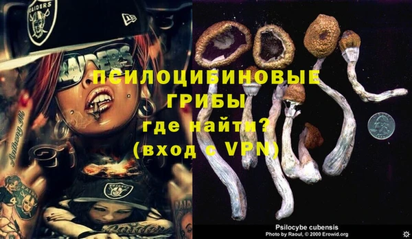спиды Алзамай