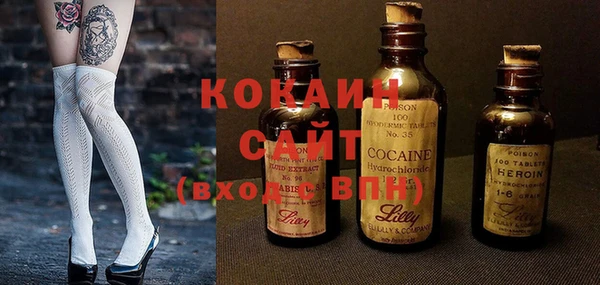 спиды Алзамай