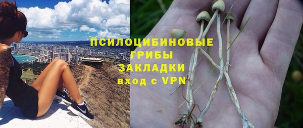 крисы Нязепетровск