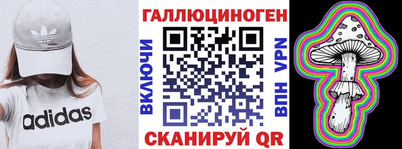 Купить где  Электрогорск  Псилоцибиновые грибы мицелий 